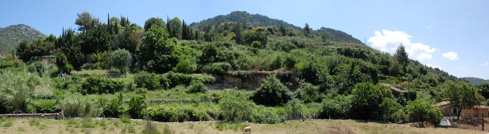 Hotel Sa Vall Valldemossa 59/70