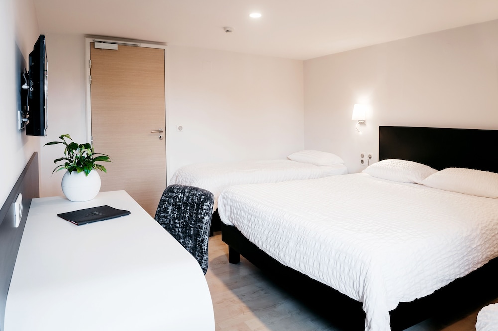 Hotel Au Lion Rouge 13/50