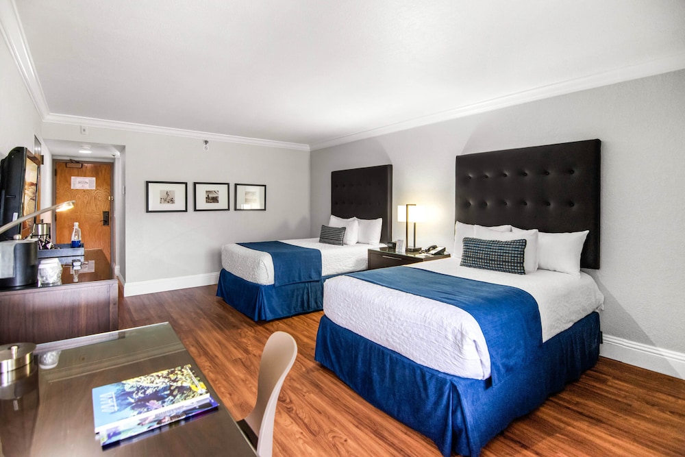 Miami Lakes Hotel 15/48