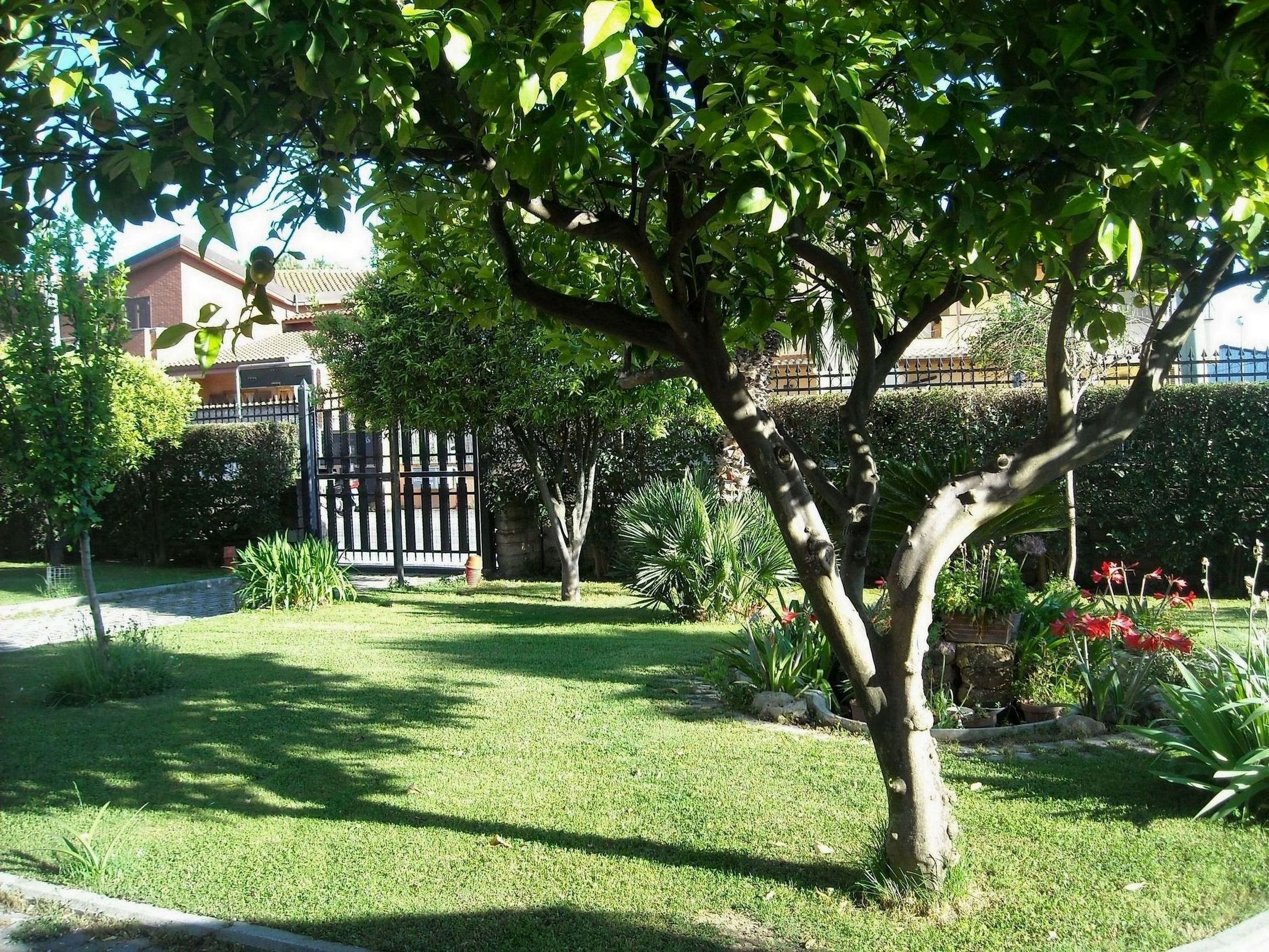 Giardino degli Aranci B&B 47/56