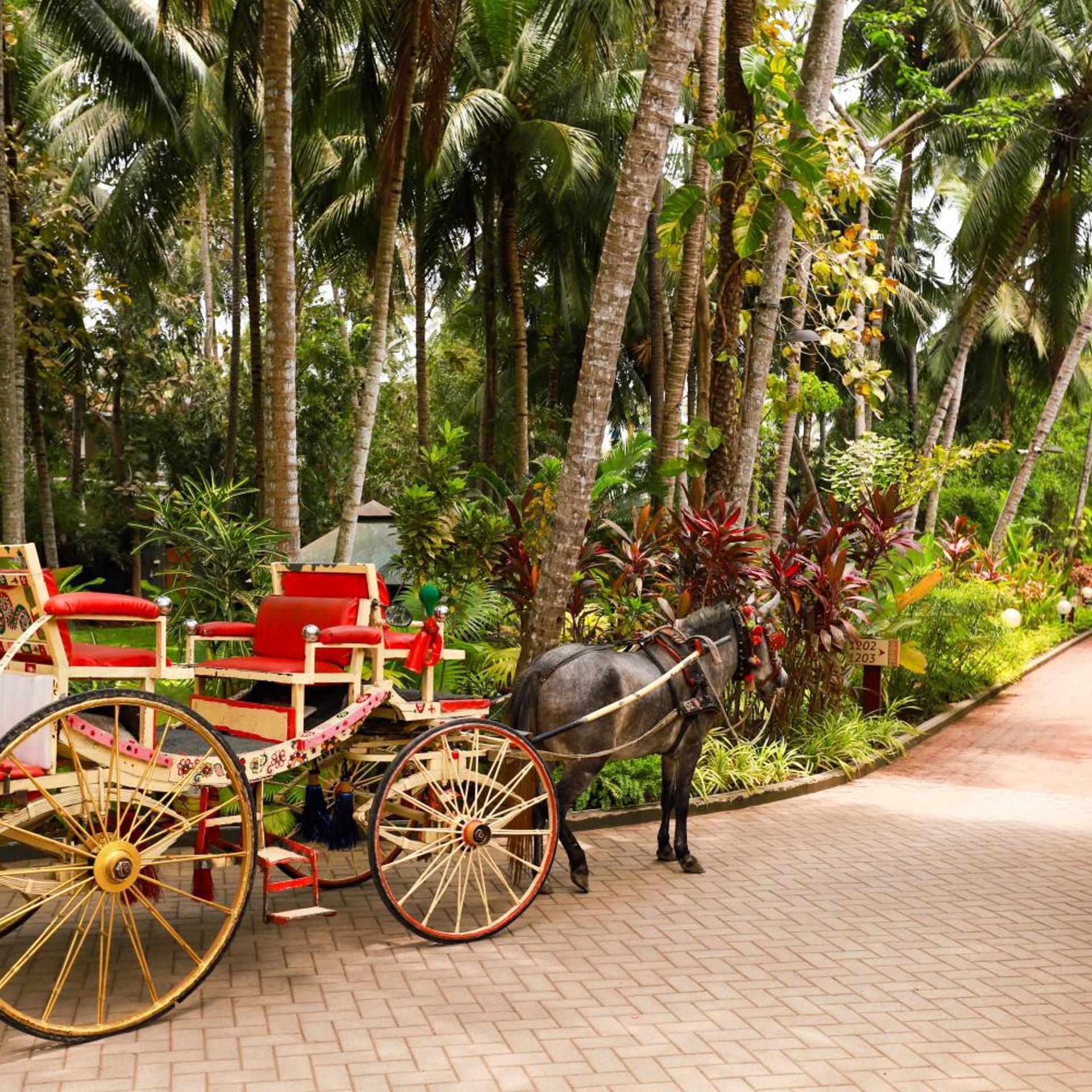 Dindi RVR, on the Godavari, A Club Mahindra Associate Resort in Andhra Pradesh 34/52
