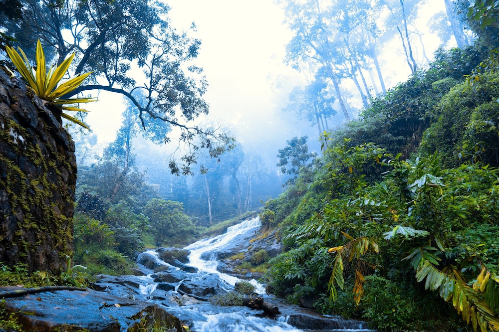 Falling Waters 33/50