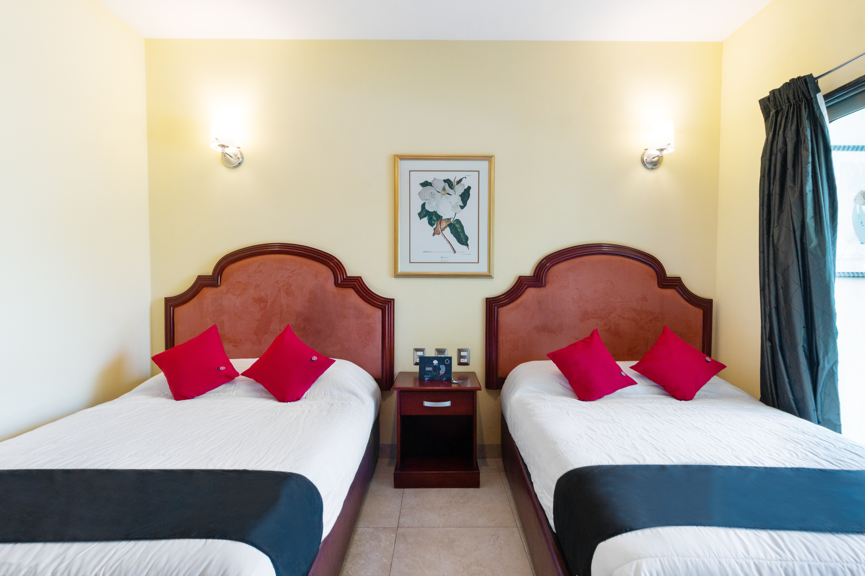 Standard Suite