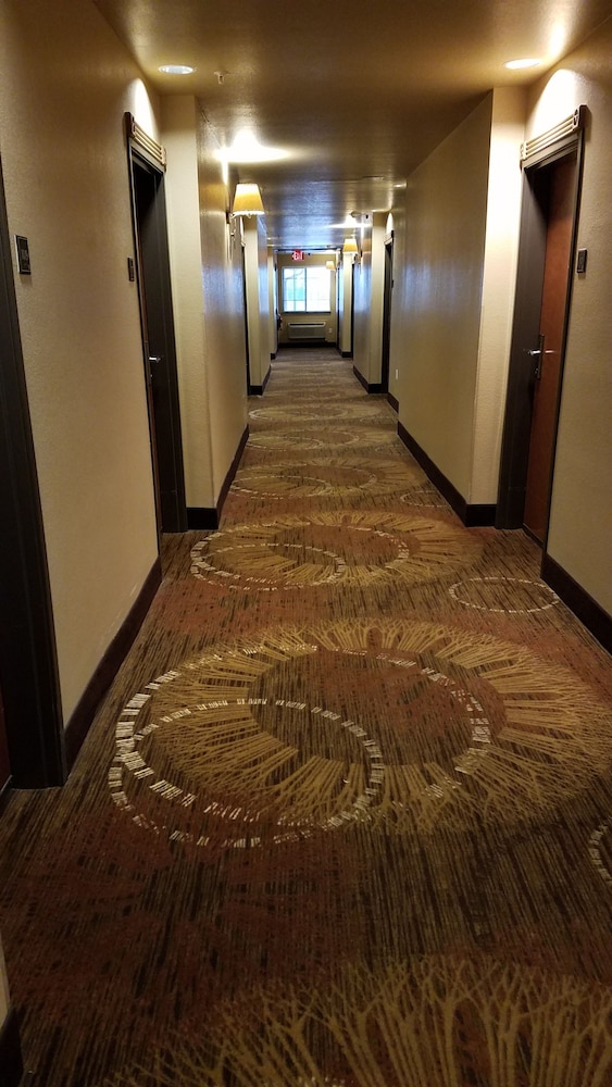 Velkommen Inn 6/31