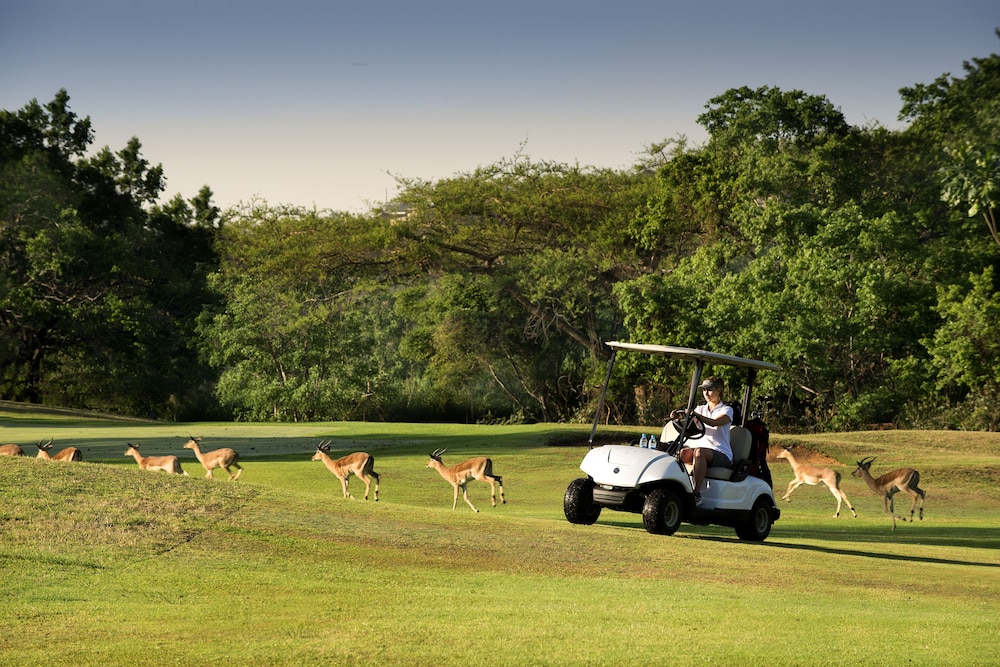 Kruger Park Lodge 55/67