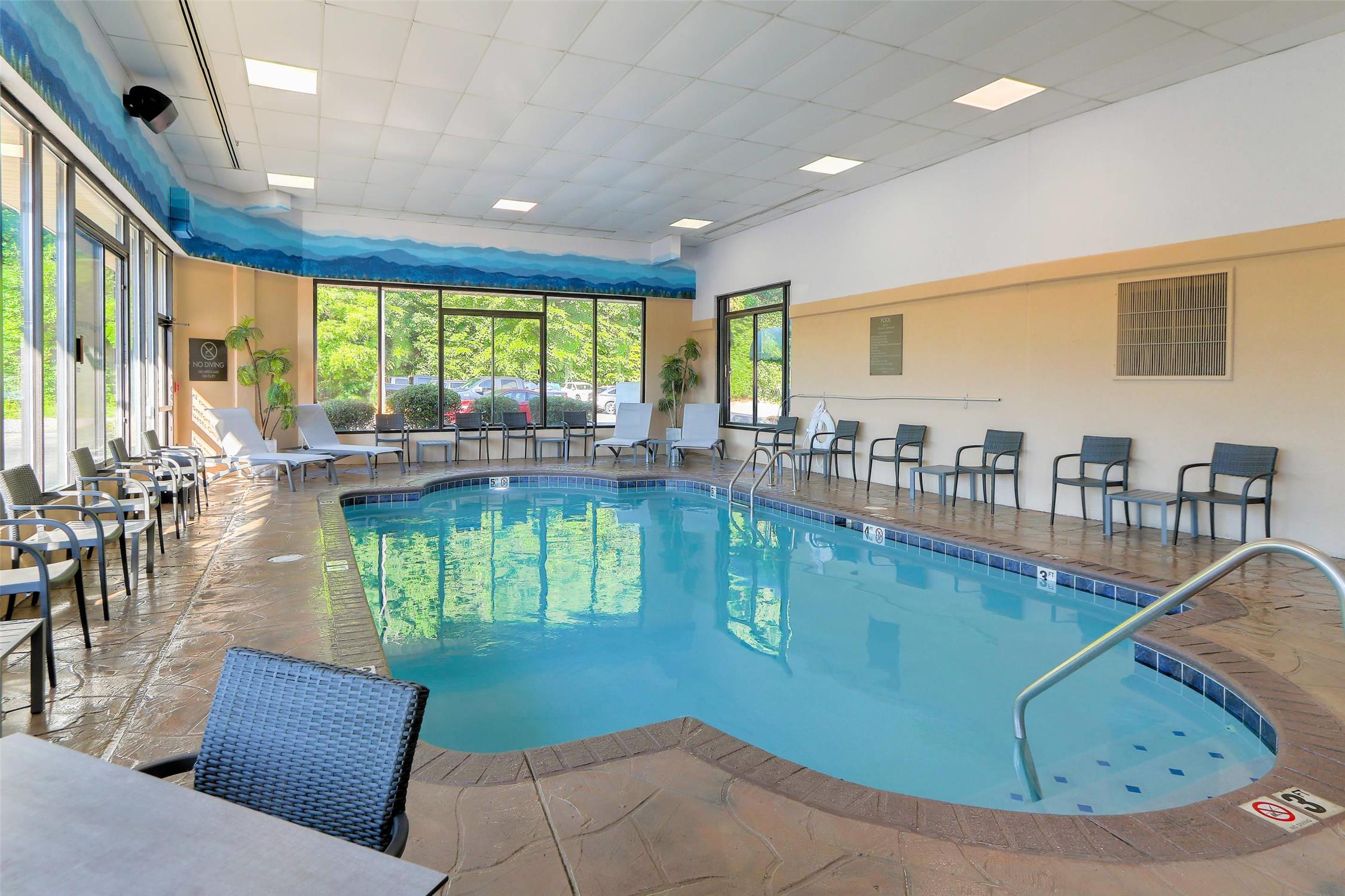 Comfort Inn Suites At Dollywood Lane 22/37