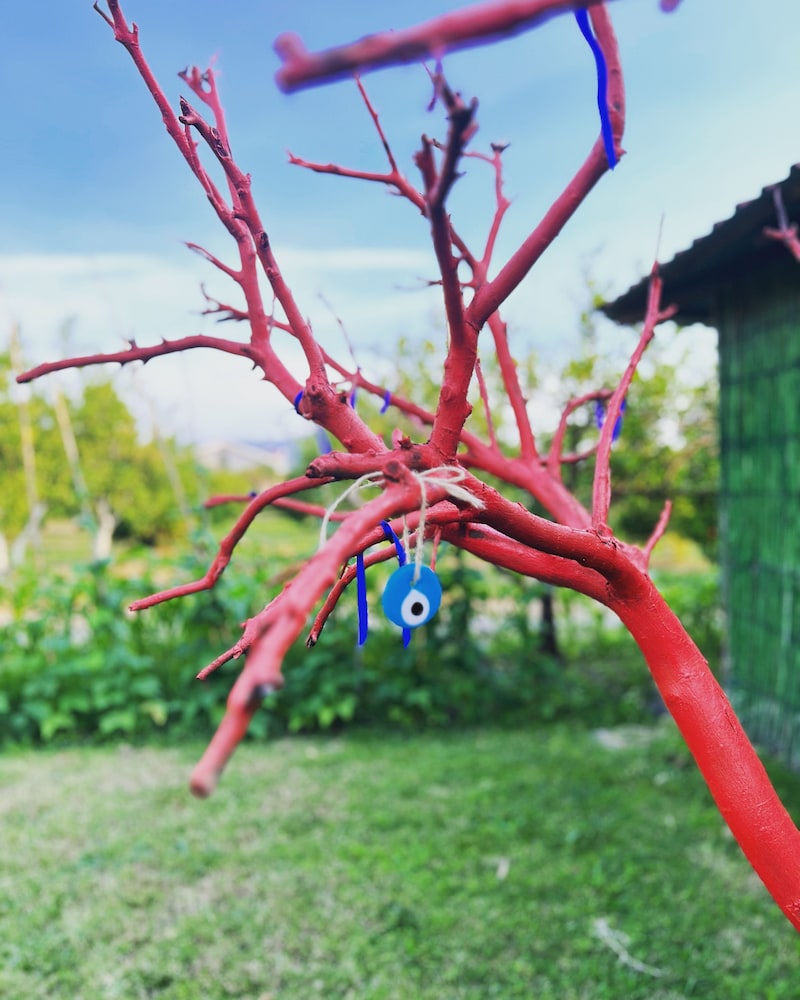 Grenadine Lodge 39/50