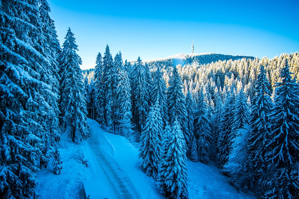 Sunny Hills Ski 47/50