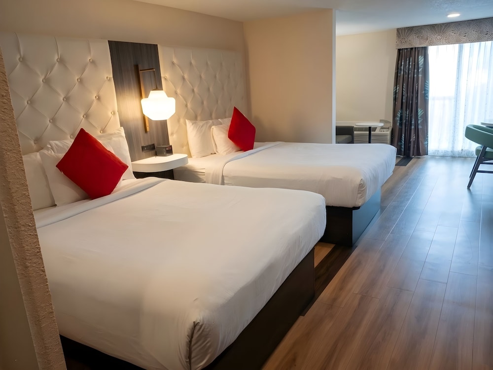 FAMILY, STUDIO, SUITE, 2 QUEEN BEDS