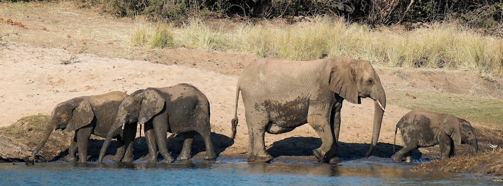 Camp Nkwazi 14/29