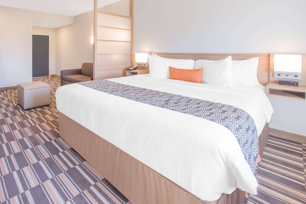 Suite, King Bed