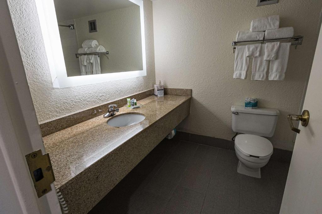 Wyndham Flint MI/Grand Blanc/Bishop Airport/Conference Ctr 70/71