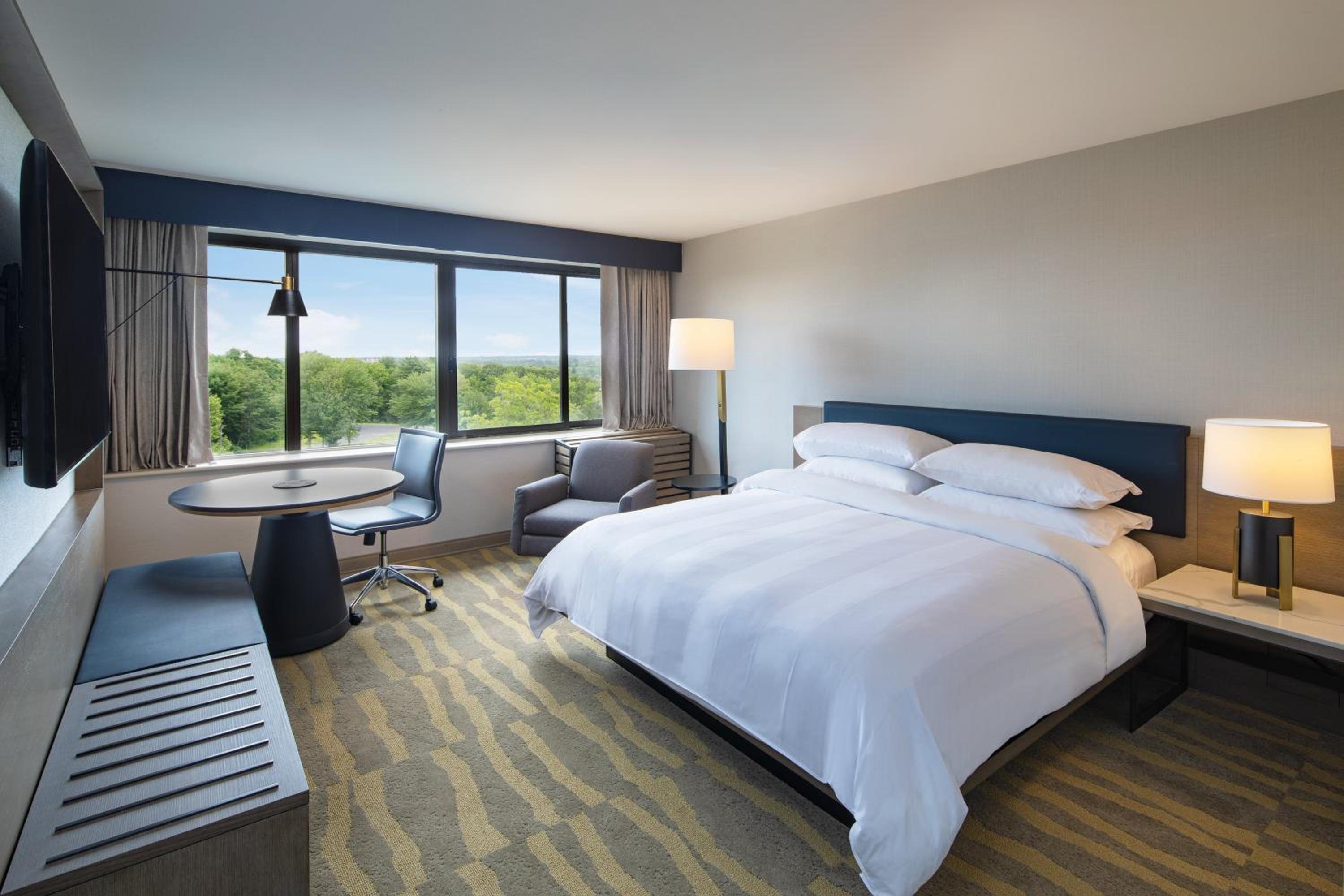 Guest Room, King Bed