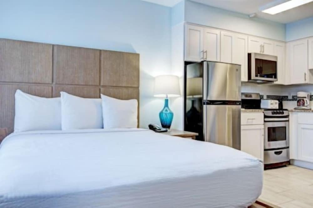Studio, Queen Bed, Street View, Accessible