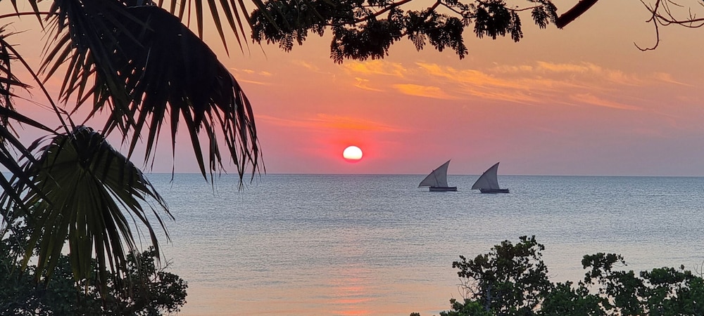 Jungle Paradise Beach Resort & Spa Mbweni Ruins 28/50