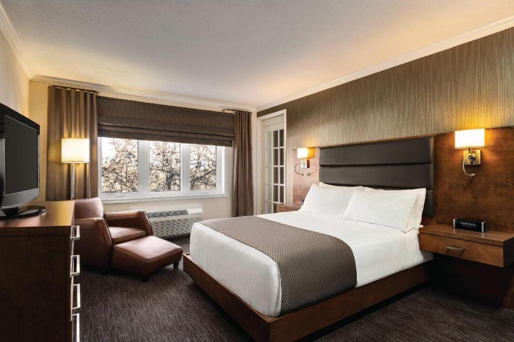 Efficiency, Suite, Queen Bed