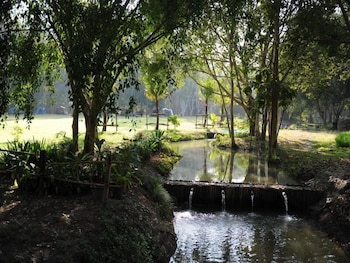 Sippa Hotspring 22/50