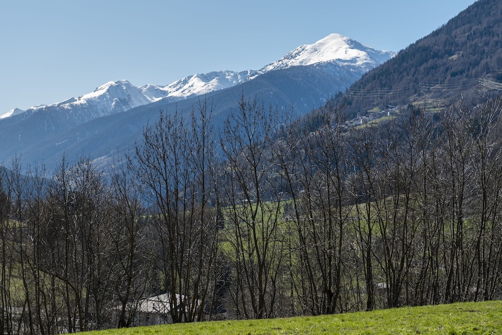 La Betulla 44/48