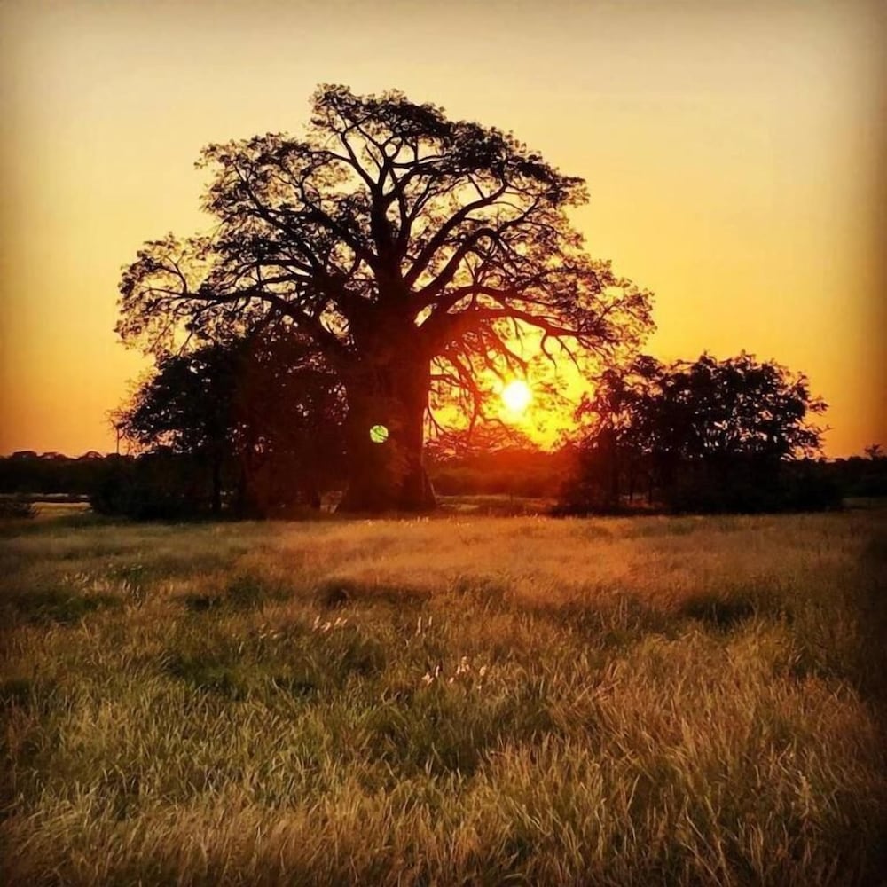 Munati Lodge 10/24