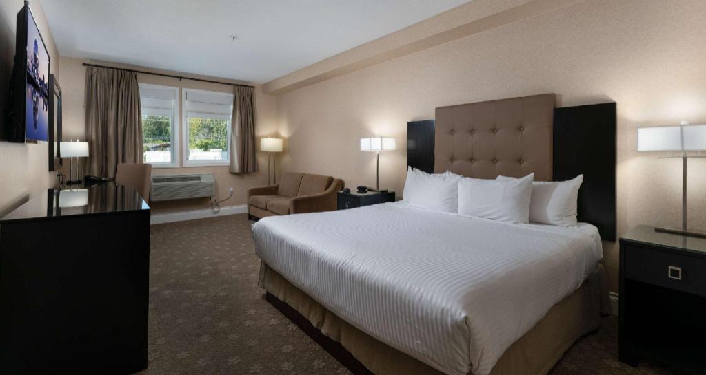 غرفة بسرير كوين يُسمح فيها بالحيوانات الأليفة