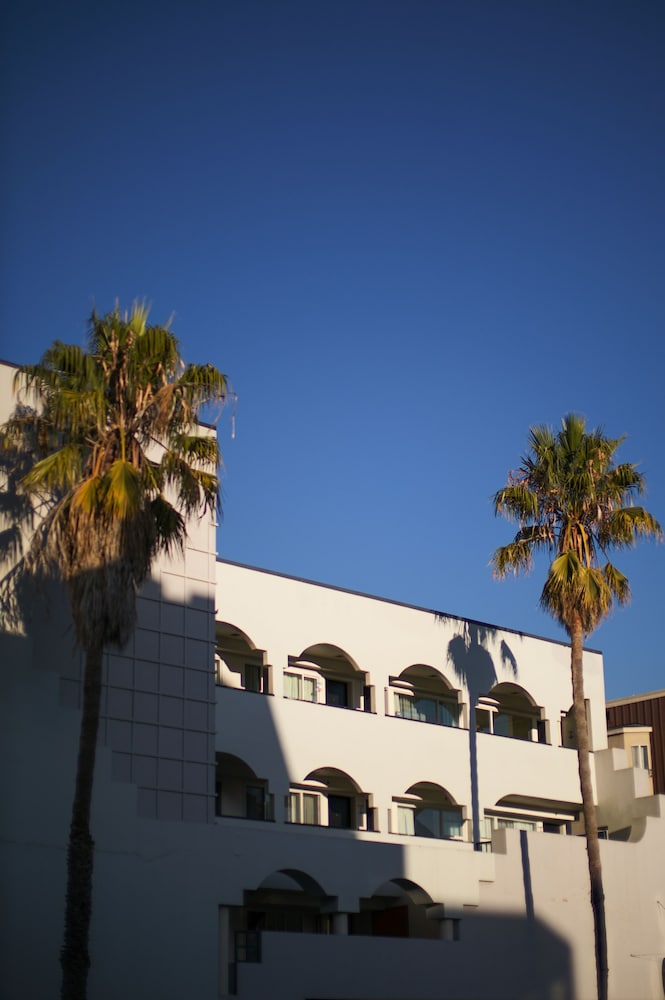SoMa House 3/50