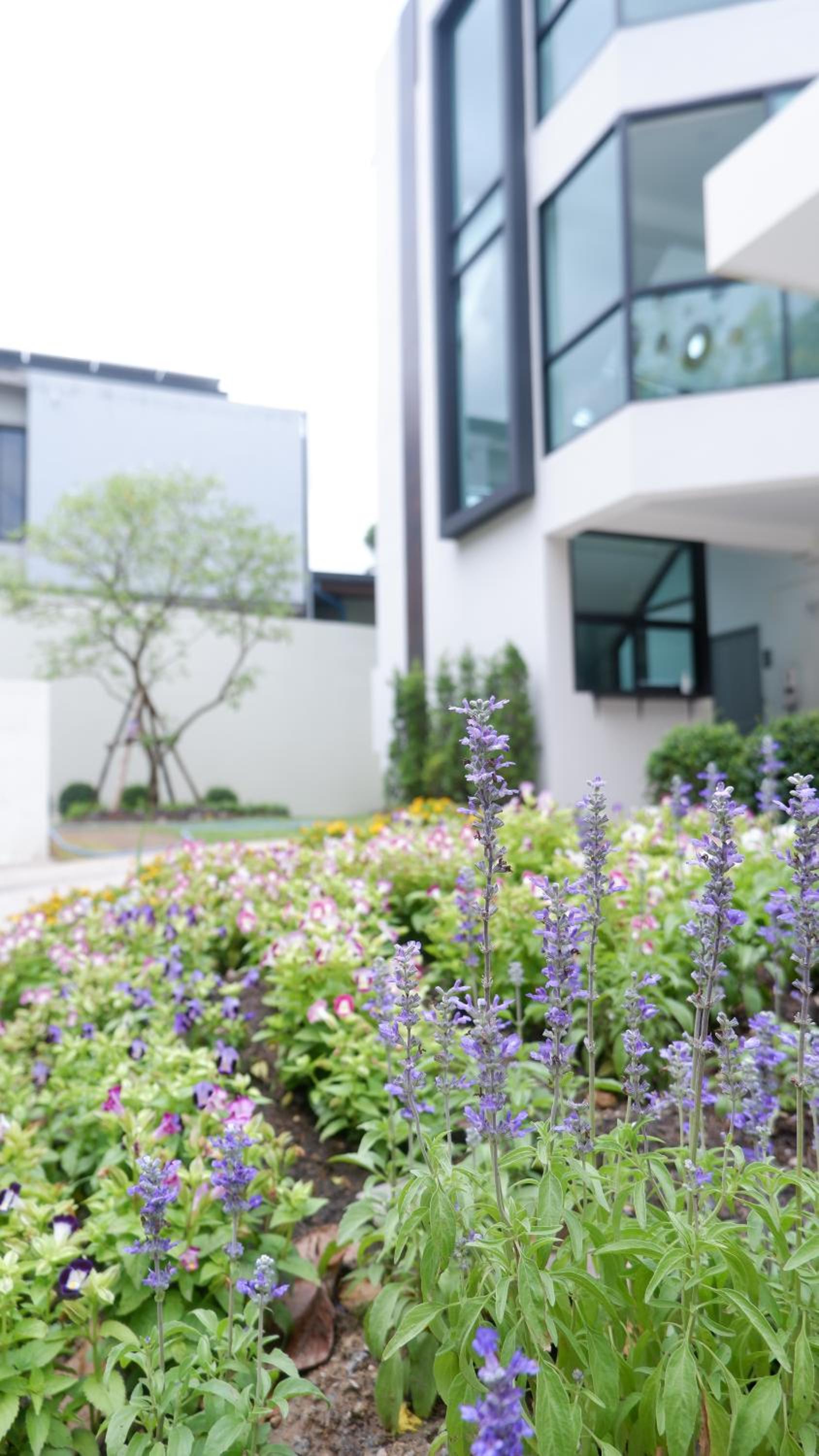 Darin Chiangmai Hotel and Residence 42/46