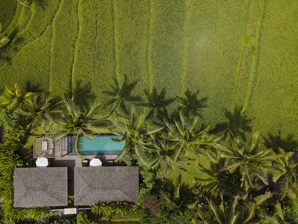 Kappa Senses Ubud 42/47
