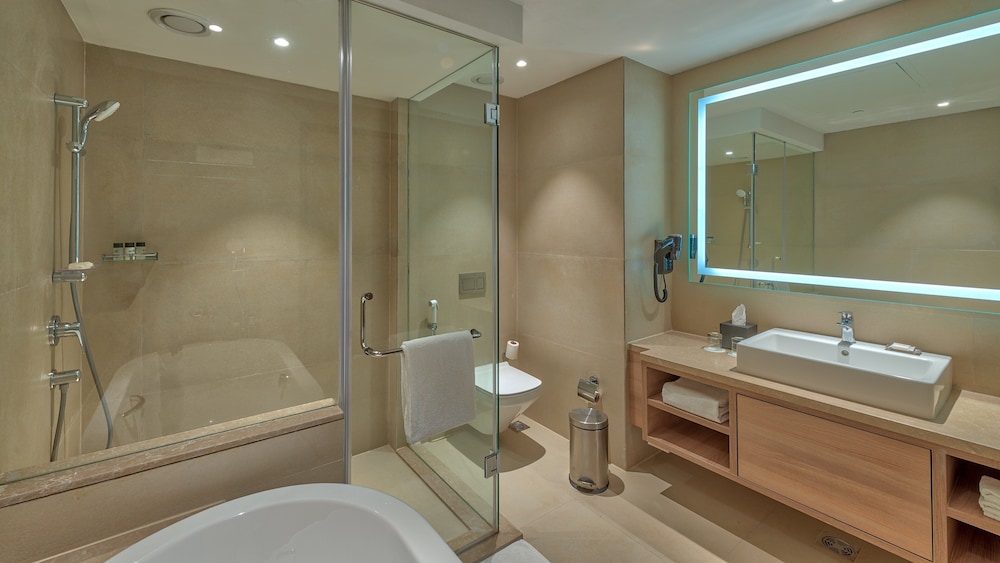 Holiday Inn Gurugram Sector 90 20/77