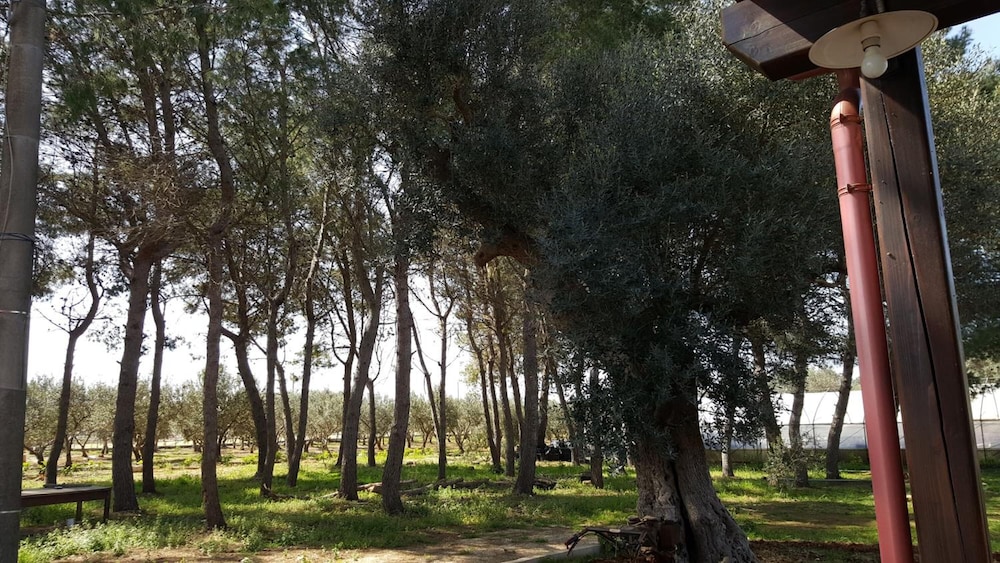 Tenuta Cavalieri 44/50
