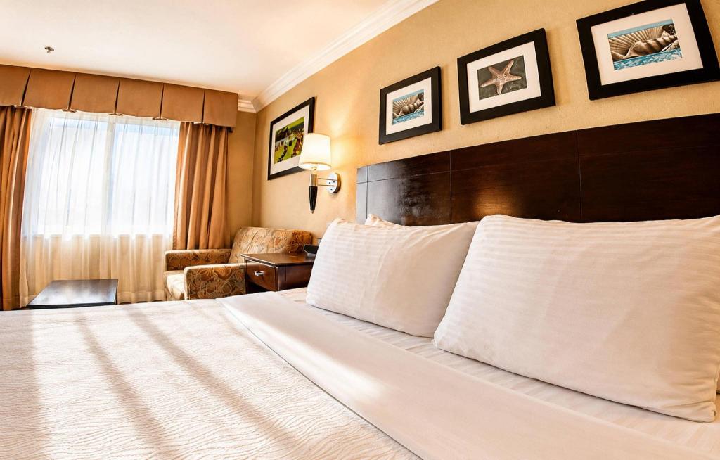 Upgrade, Suite, King Bed
