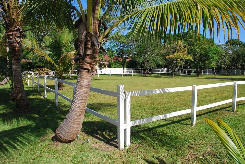 La Finca Miami by SoFla Vacations 14/44
