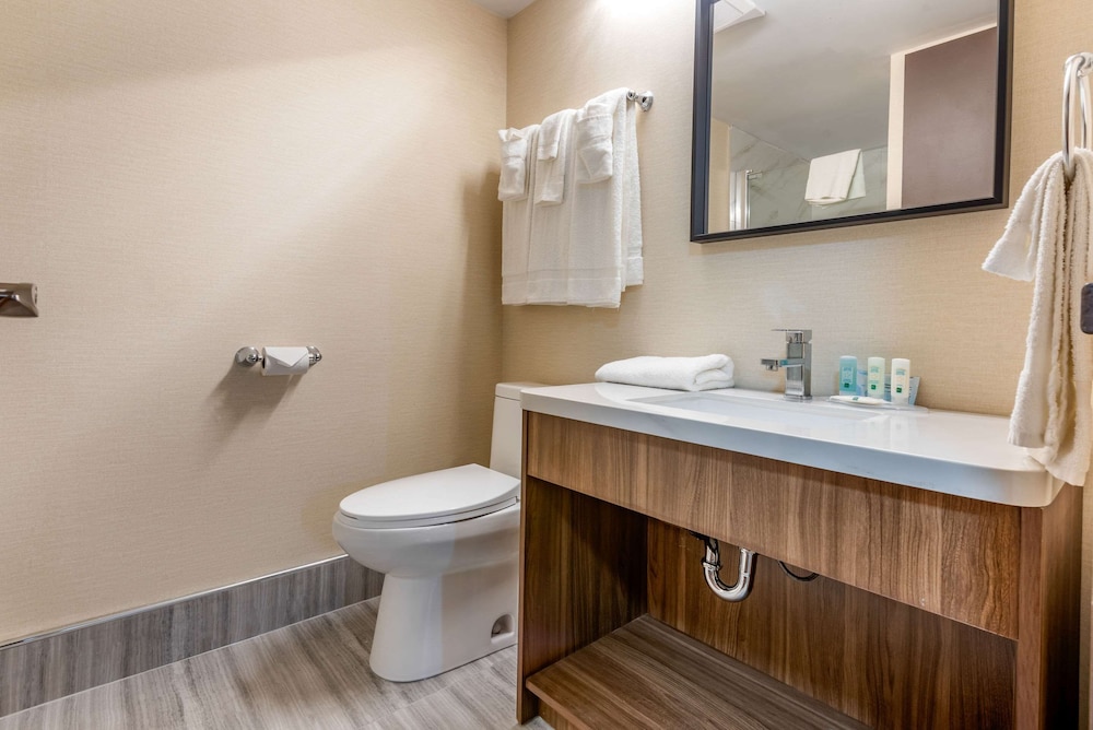 Quality Inn and Suites Niagara Falls ON 14/30