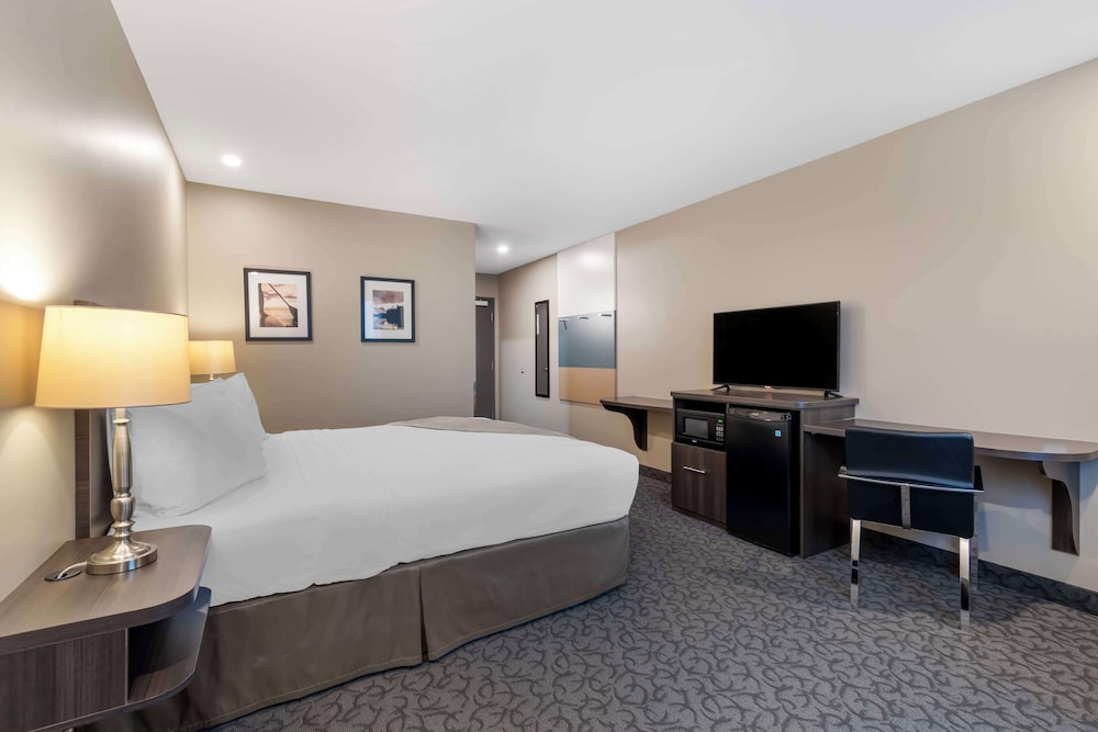 غرفة قياسية بسرير كينج يُسمح فيها بالحيوانات الأليفة لذوي الإعاقة، Villa Inn and Suites, SureStay Collection By Best Western 3/4