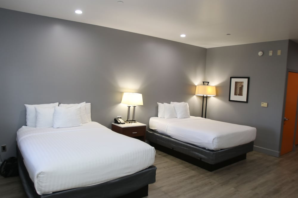 Basic, Multiple Beds
