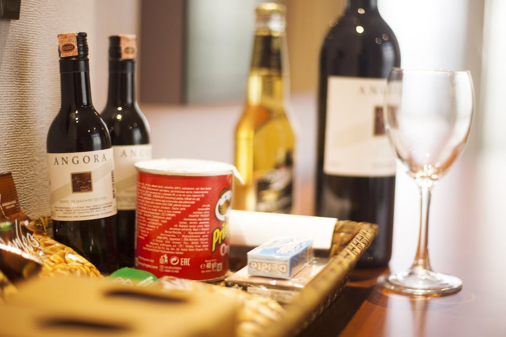 伊斯坦布尔机场假日酒店(Sundance Hotel Istanbul) 图片3