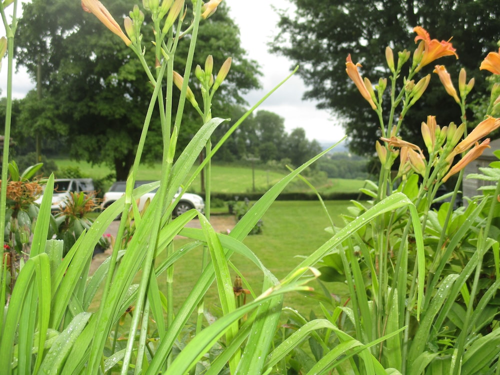 Brambles B&amp;B 25/49