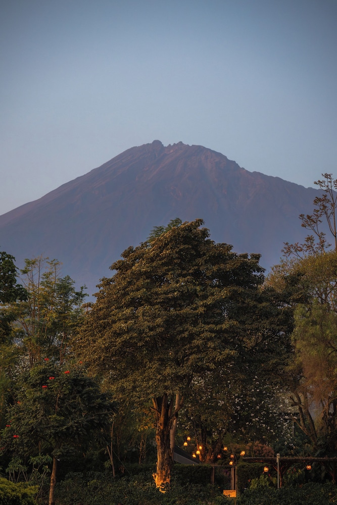 Gran Melia Arusha 69/73