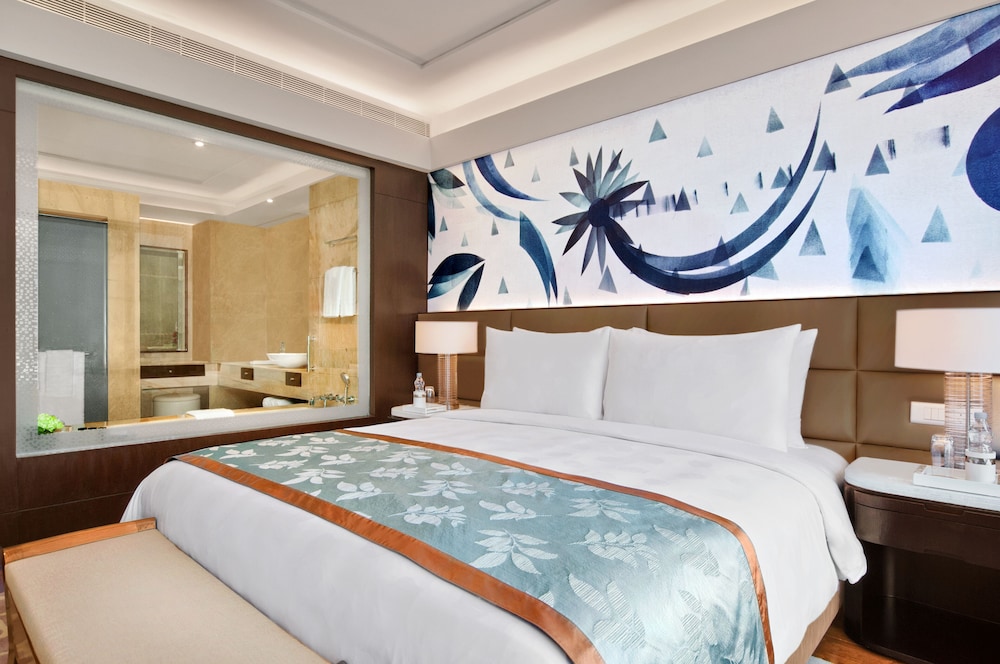 The Leela Ambience Convention Hotel Delhi 16/63