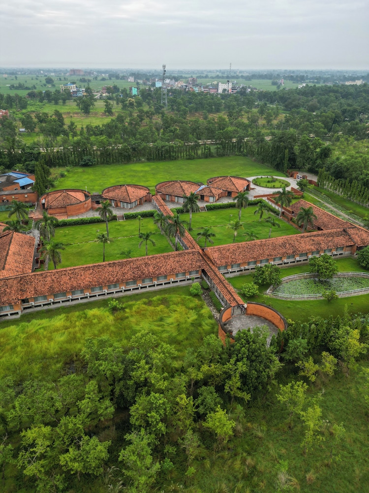Lumbini Hokke 49/50