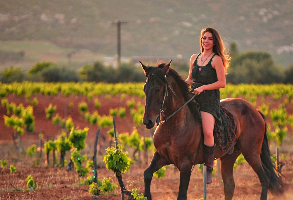 HOTEL BOUTIQUE VALLE DE GUADALUPE 82/83