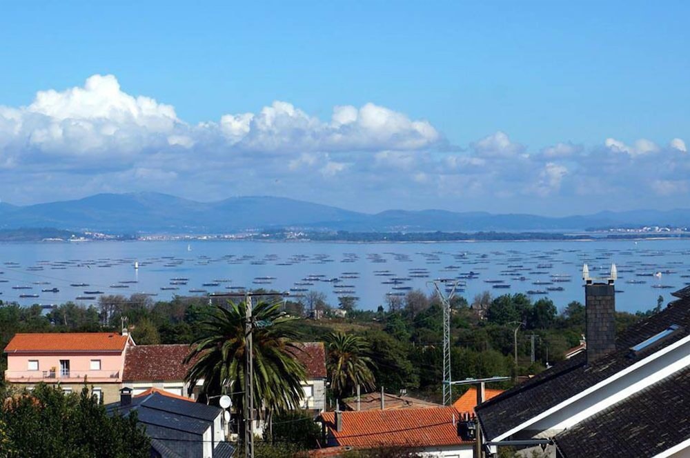 Cons Da Garda 36/50