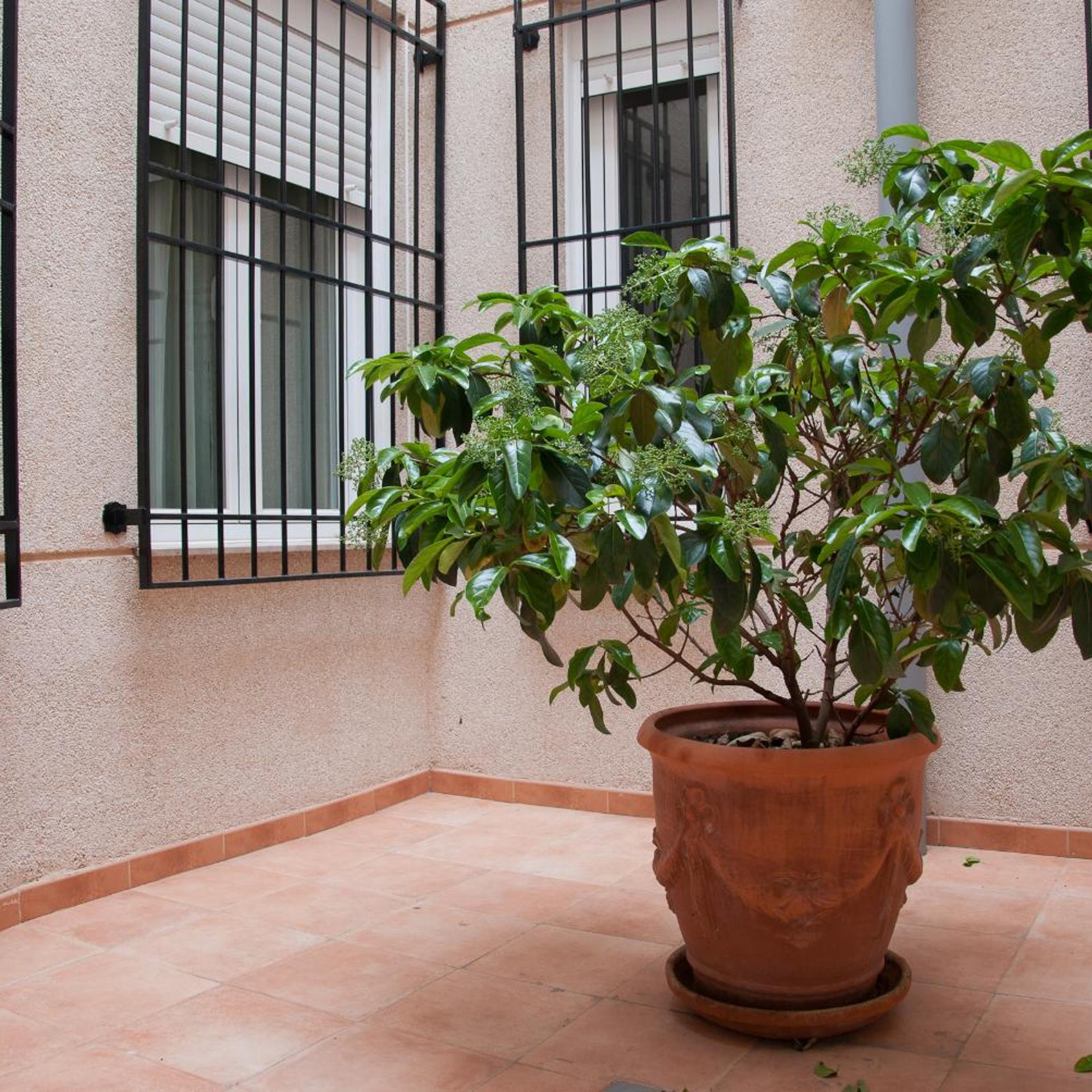 Hotel Hidalgo Quijada 59/62