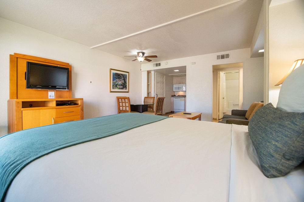 Studio, Queen Bed, Sofa