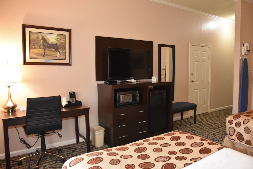 Best Western Spring Hill Inn & Suites 13/32