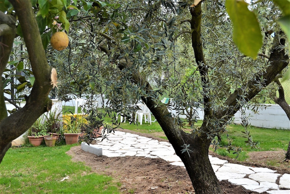 B&B Il Girasole 25/40