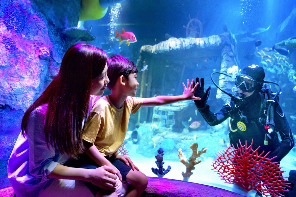 Legoland Malaysia Resort 38/50