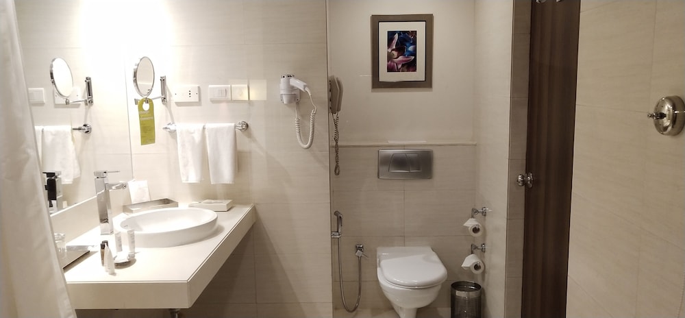 Royal Orchid Central Pune 13/35