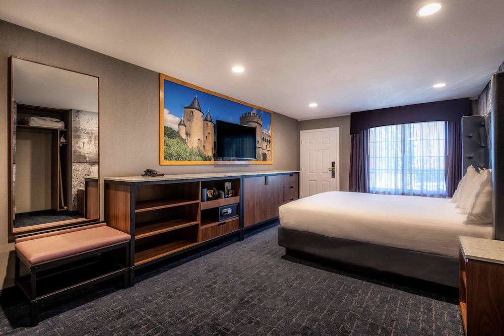 ROOM, SINGLE, KING BED, SOFA
