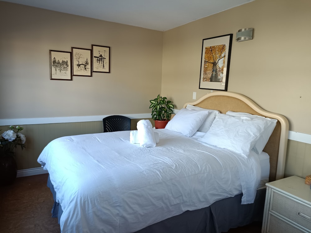 Painted Turtle Guesthouse 11/23