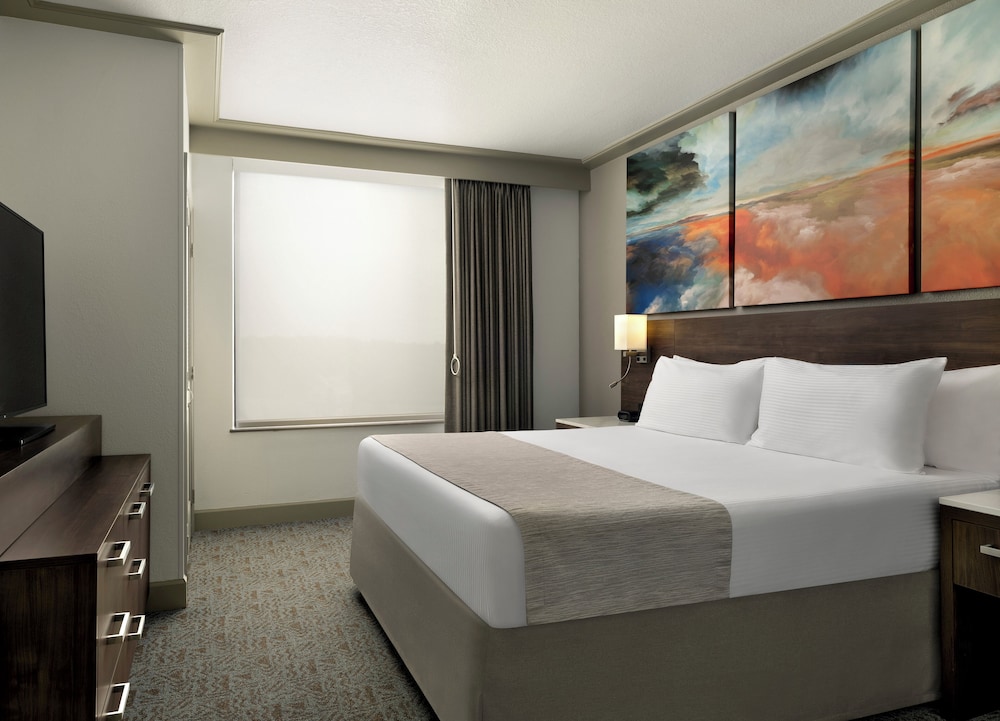 جناح بسرير كينج لذوي الإعاقة، Buena Vista Suites 2/8